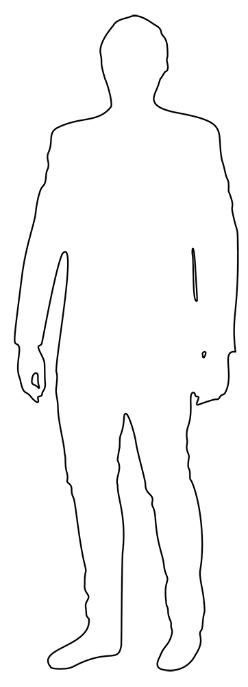 Developer